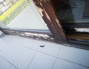 IMG-20210208-WA0002