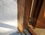IMG-20210208-WA0005