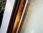 IMG-20210208-WA0007