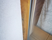 IMG-20210208-WA0010