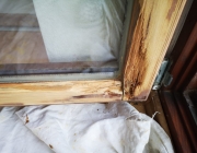 IMG-20210208-WA0012