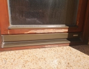 IMG-20210929-WA0000