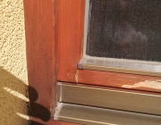 IMG-20210929-WA0003