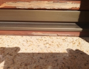 IMG-20210929-WA0004