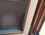 IMG-20210929-WA0008