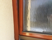 IMG-20210929-WA0015