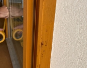 IMG-20260622-WA0059