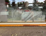 IMG-20260622-WA0061