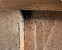 hubeni-stenic-praha 3